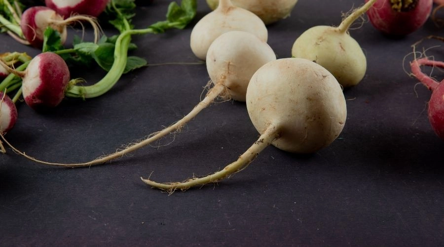 瑪卡是什麼？男女必看的功效、副作用與最佳補充時機