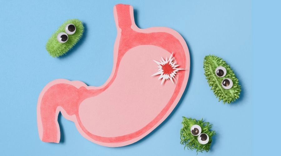 酵素是什麼?5大功效好處解析:誰該補充、何時吃最有效?