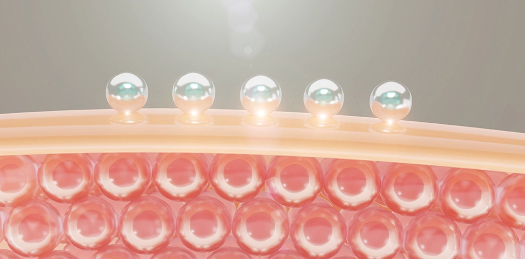 膠原蛋白示意圖