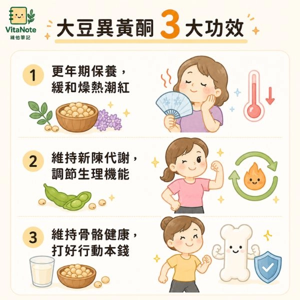 大豆異黃酮3大功效資訊圖，包含更年期保養與緩和燥熱潮紅、維持新陳代謝與調節生理機能，以及維持骨骼健康