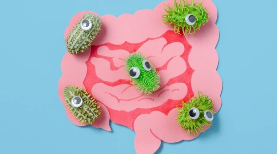 為什麼要吃益生菌？益生菌功效、禁忌、正確吃法懶人包