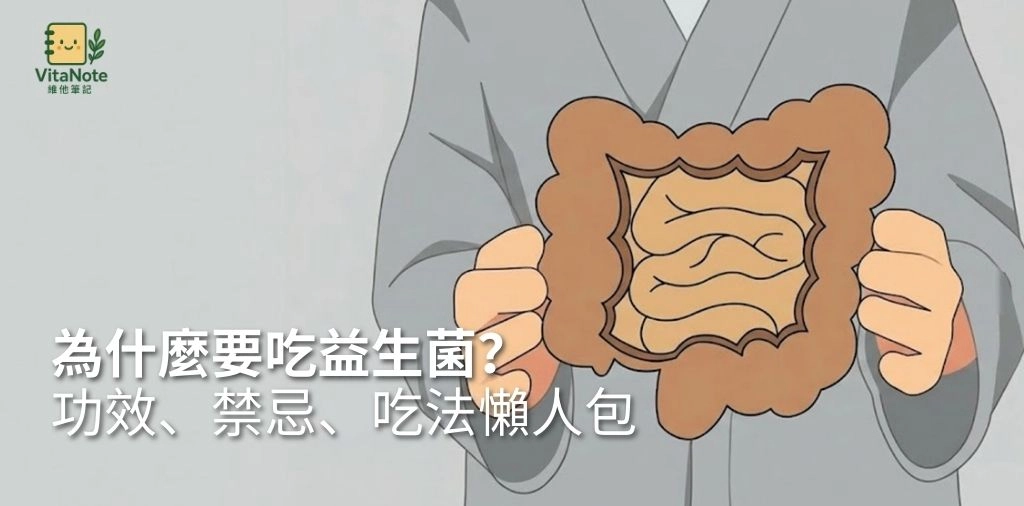 為什麼要吃益生菌？益生菌功效、禁忌、正確吃法懶人包
