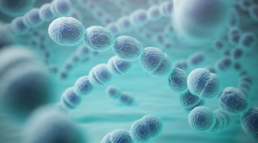 後元是什麼？與益生菌差在哪？5大功效、副作用與食物來源