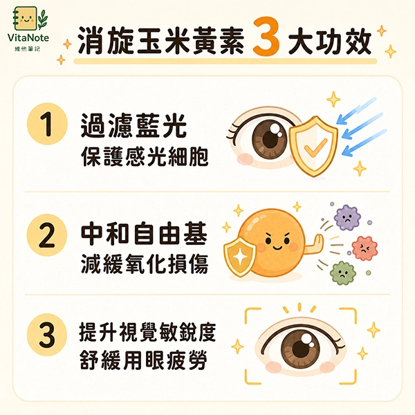 消旋玉米黃素3大功效資訊圖，包含過濾藍光保護感光細胞、中和自由基減緩氧化損傷，以及提升視覺敏銳度與舒緩用眼疲勞