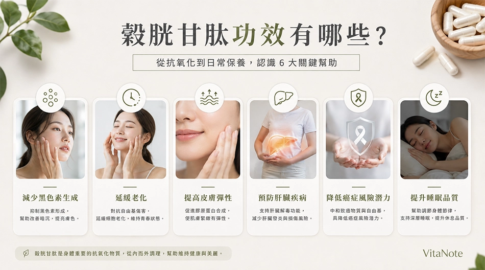 穀胱甘肽功效有哪些?整理抗氧化、皮膚保養、肝臟健康、睡眠與日常健康等6大重點