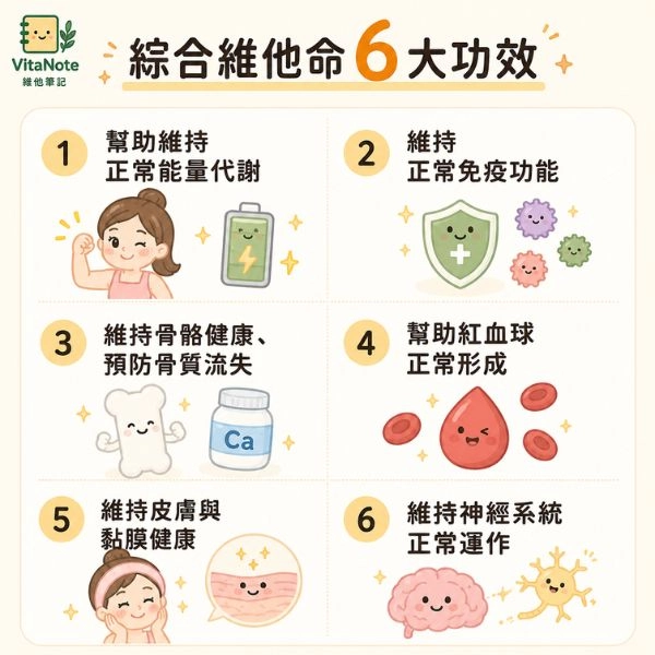 綜合維他命6大功效資訊圖,包含幫助維持正常能量代謝、維持正常免疫功能、維持骨骼健康、幫助紅血球正常形成、維持皮膚與黏膜健康,以及維持神經系統正常運作