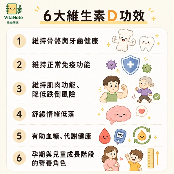 維生素D功效整理圖,說明骨骼、免疫、肌肉、情緒、代謝與成長營養相關重點