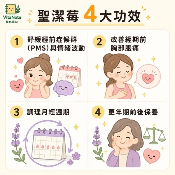 聖潔莓4大功效資訊圖，包含舒緩經前症候群與情緒波動、改善經期前胸部脹痛、調理月經週期與更年前後保養