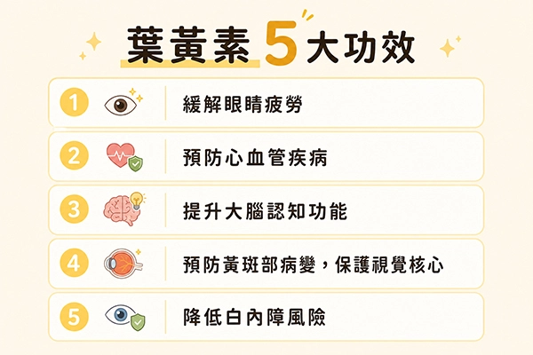 葉黃素5大功效