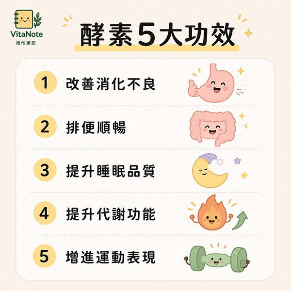 酵素5大功效資訊圖